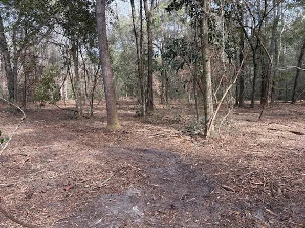 Xx Tharpe Ln, Crawfordville, FL 32327