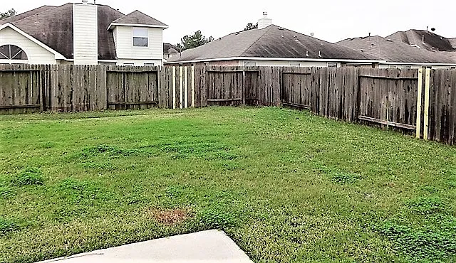 9031 Ferndale View Dr — Photo 14