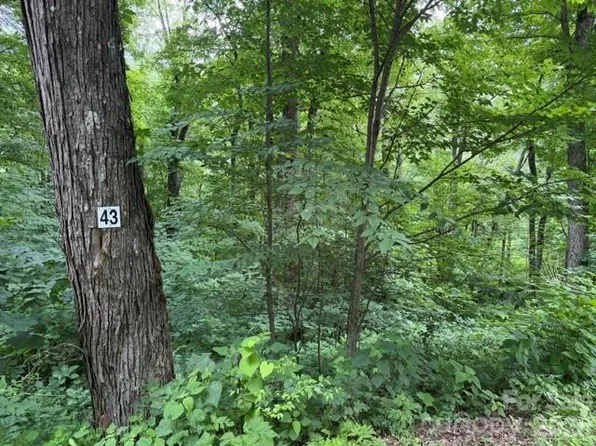 43 Gata Trl, Maggie Valley, NC 28751