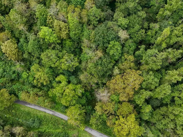 1055 River St, Gassaway, WV 26624