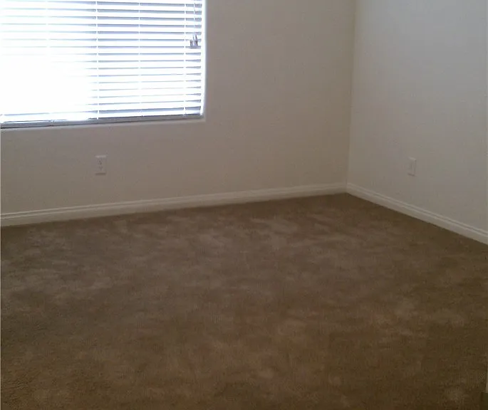 5493 Ovando Way — Photo 12
