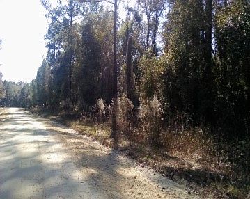 1st image of 95TH Drive