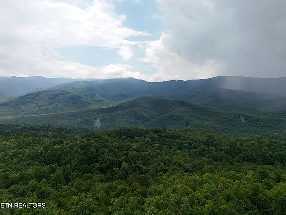 3rd image of 920 Black Gum Gap Rd