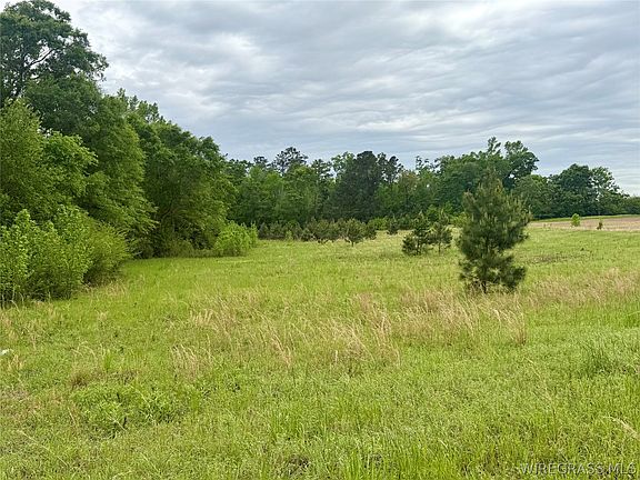 5th image of Dillard Rd