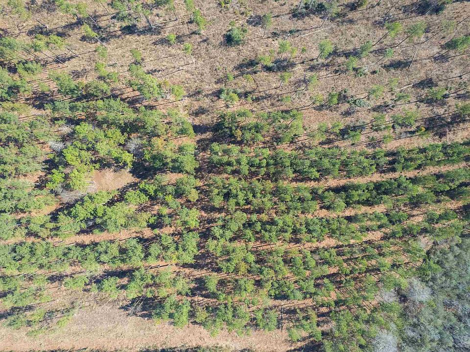2nd image of LOT 12 Highway 89