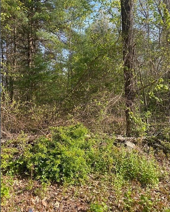 2nd image of 77 Town Farm Rd