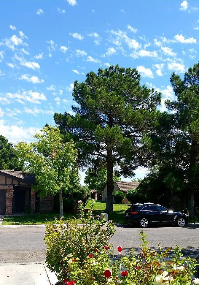 2 bed, 1327 sqft, $2,500 — Photo 1