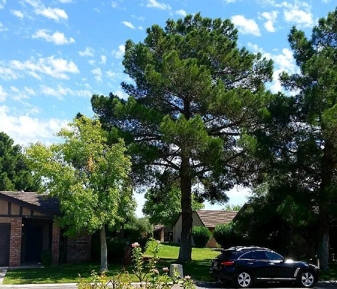 601 Buttonwood Ln — Photo 1