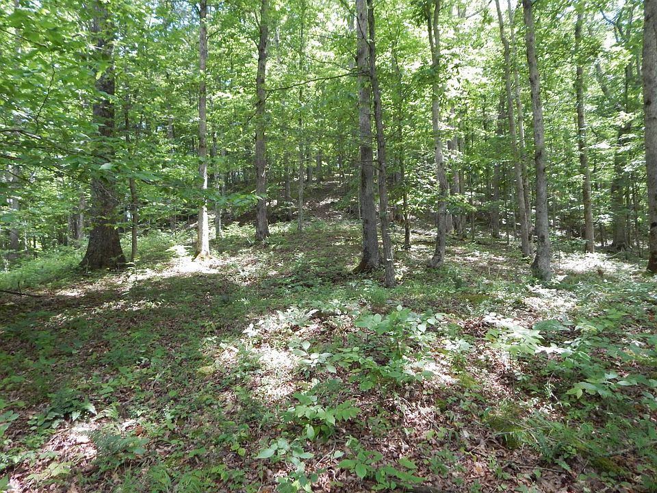 37th image of 1597 Devil Hole Rd