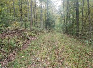 0 Murphy Rd, Lowman, NY 14861
