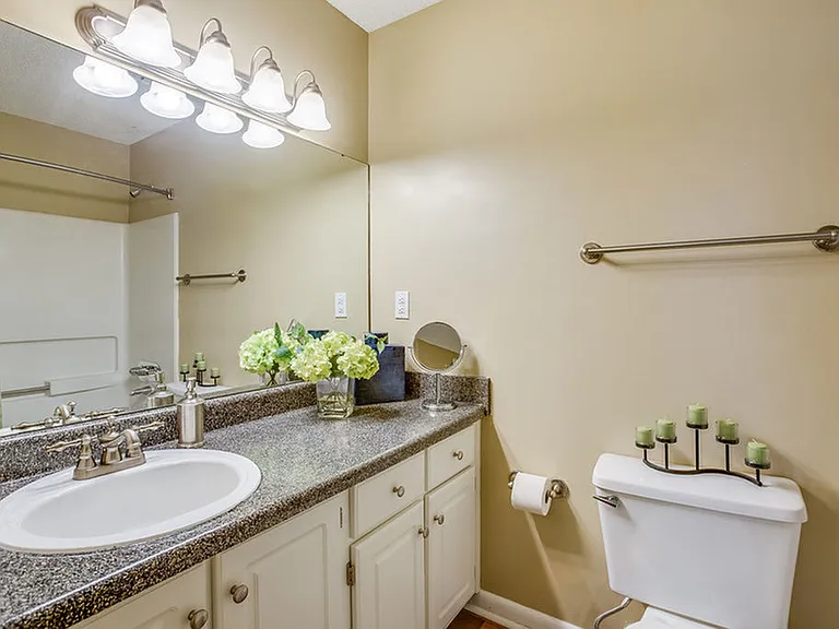 Bliss Renovated Guest Bathroom