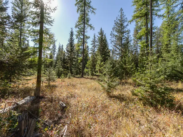 400 Greenhouse Rd, Ione, WA 99139