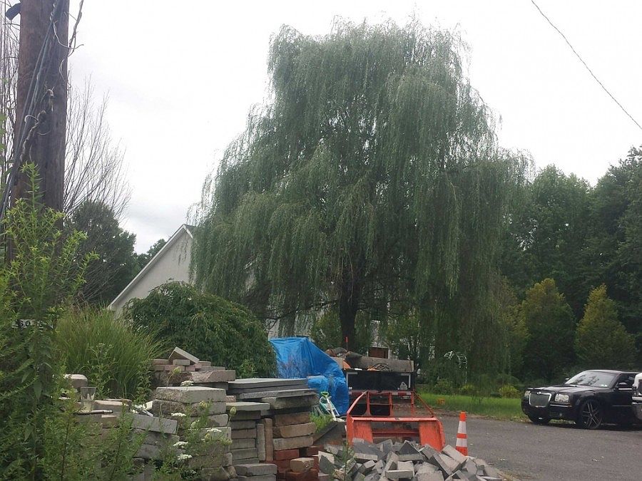 2nd image of 5 Murray Ave