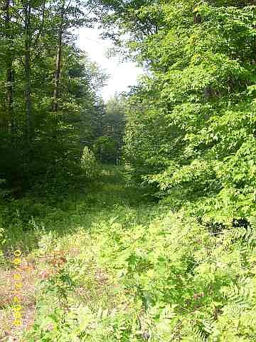 2nd image of LOT 9 VIRGINIA Place