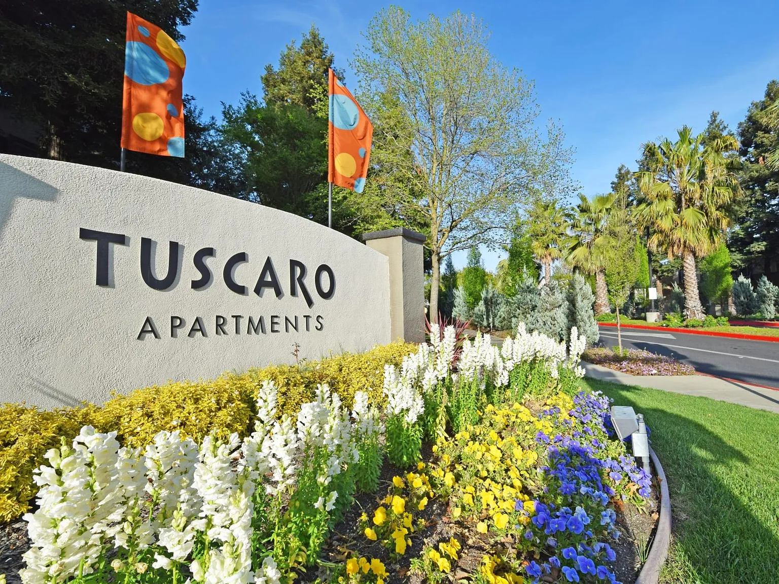 Tuscaro — Photo 1