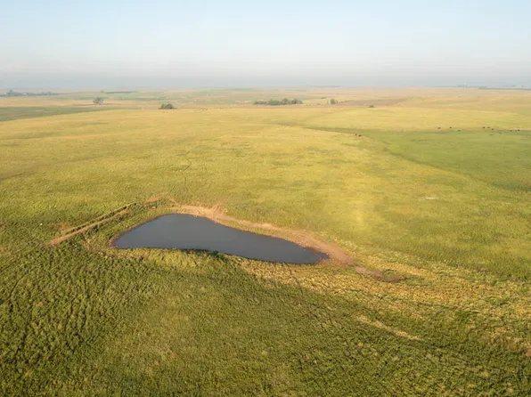 174 Street, Orient, SD 57467