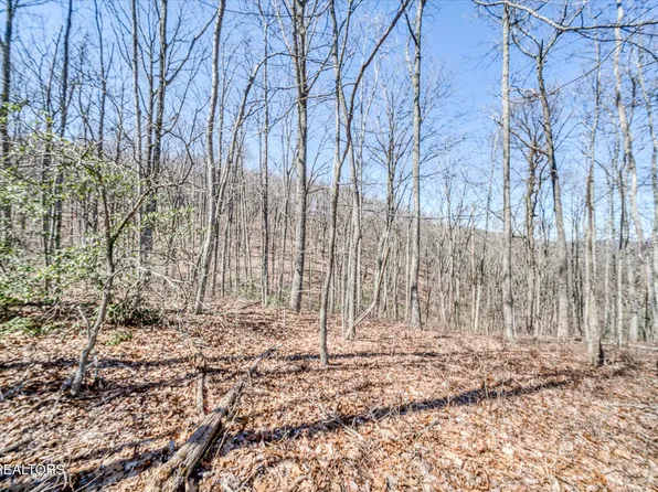 Lot734&735 Renegade Mountain Pkwy, Crab Orchard, TN 37723