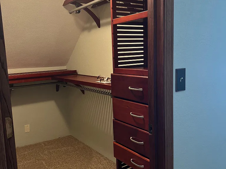 Primary Bedroom walk in closet