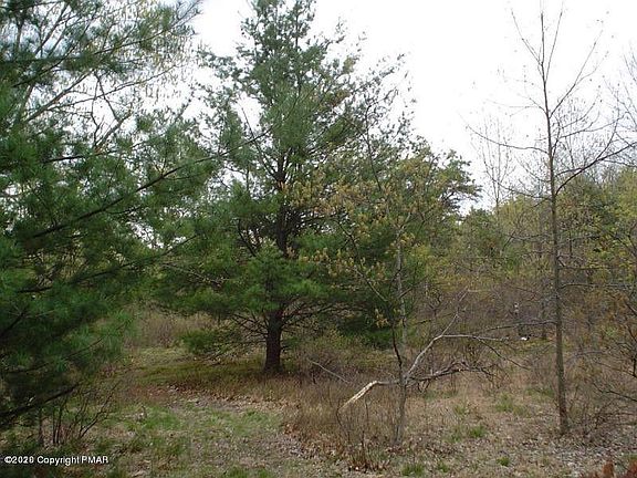 5th image of Mount Nebo Dr