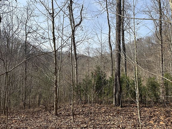 5th image of 216 Happy Hollow Rd