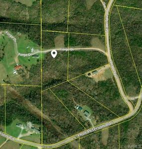 00 Forge Dr #4, Tuscaloosa, AL, 35404