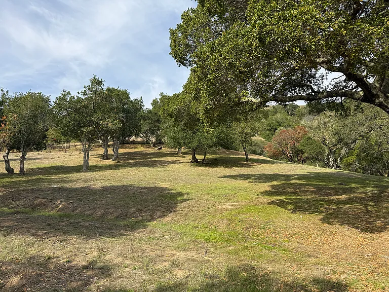 840 Idylberry Rd — Photo 11