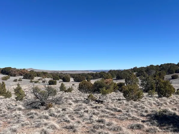 Cimarron Dr, Quemado, NM 87829