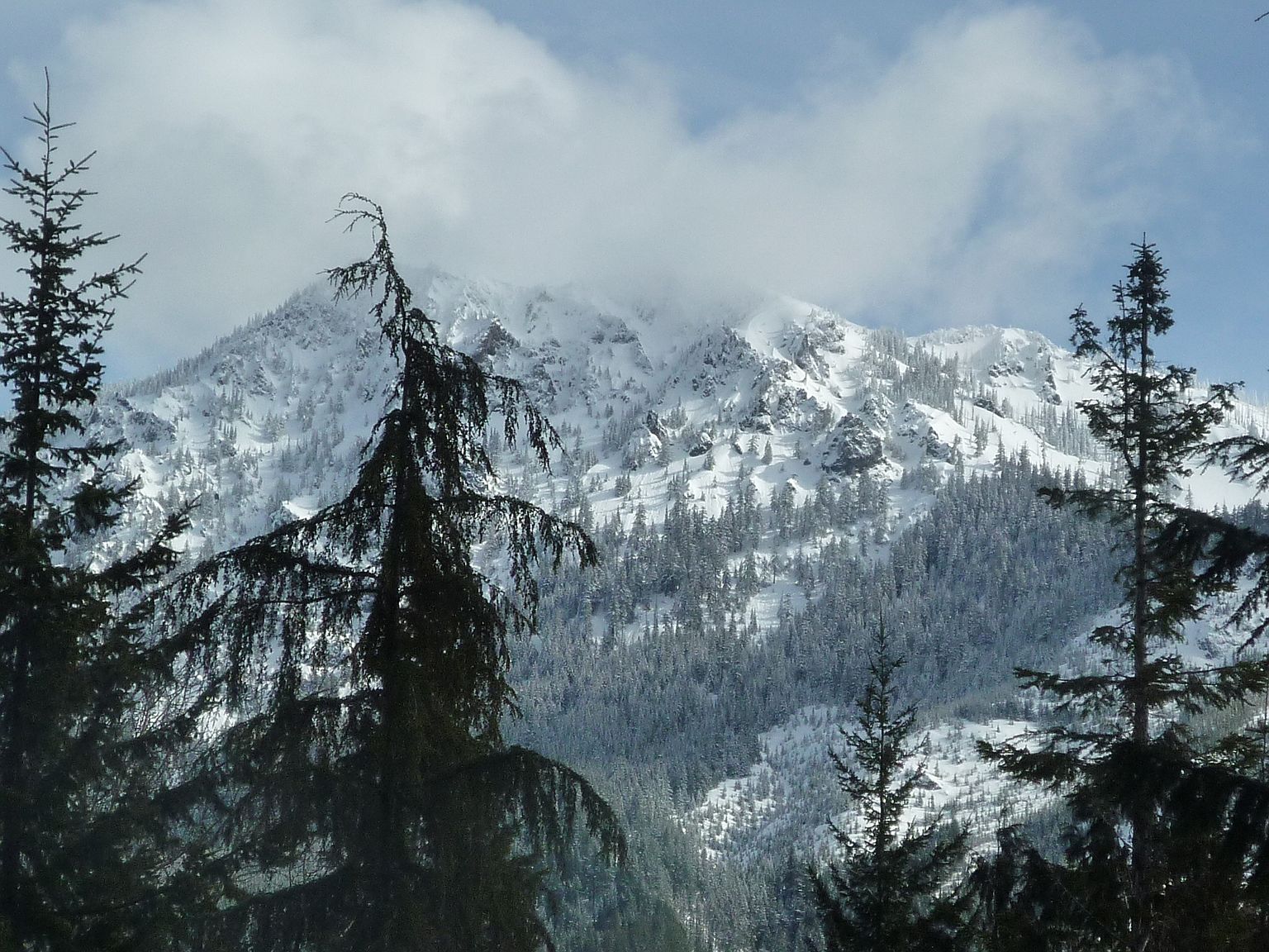 100 Alpine Ln, Easton, WA 98925 Zillow