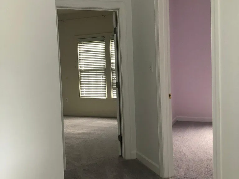 6248 Levi Ct — Photo 32