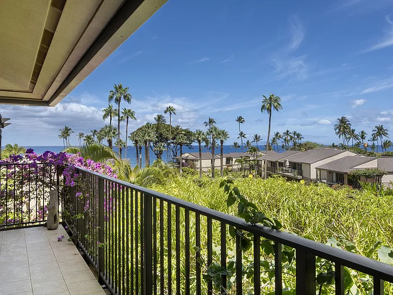 Wailea Alanui Dr — Photo 25