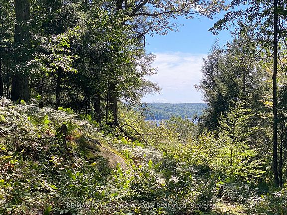 3rd image of 22 Gryffin Bluffs Ln #6