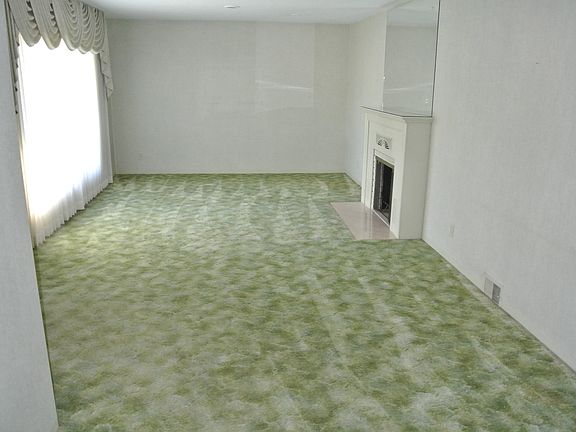 Living Room Fireplace