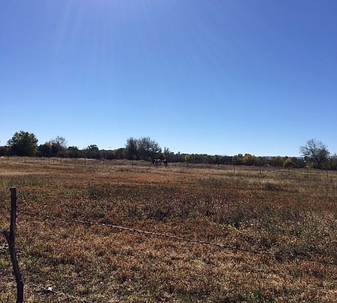 10 Acres w/30 Field Shares 