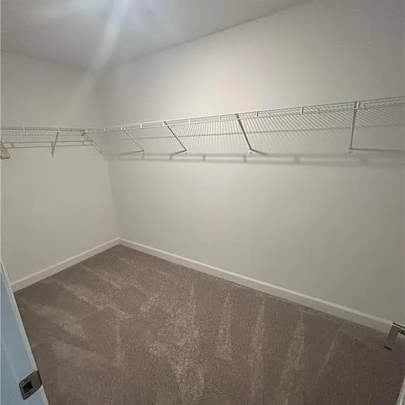11299 Canopy Loop — Photo 14