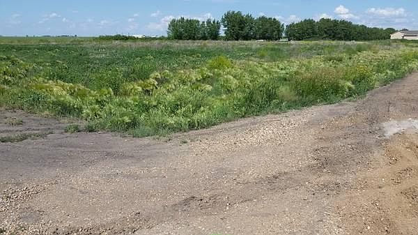 2nd image of 1746 Lonesome Dove Dr