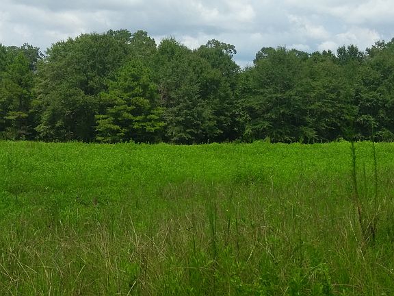 Field