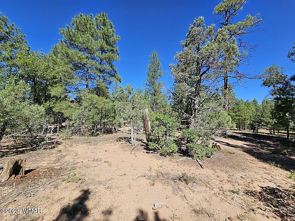 4th image of 1700 Iris Ln