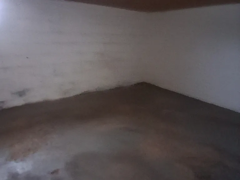 1765 Linwood Ave #1 — Photo 8