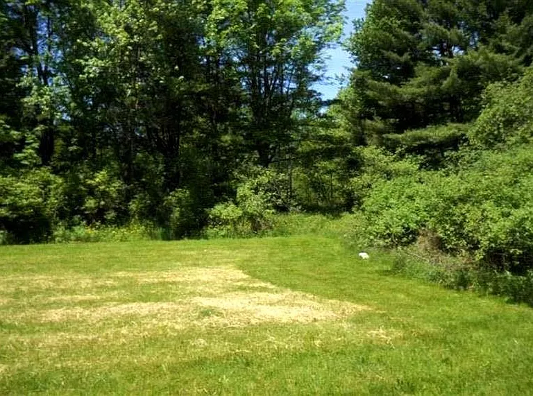 1442 Route 17B — Photo 18