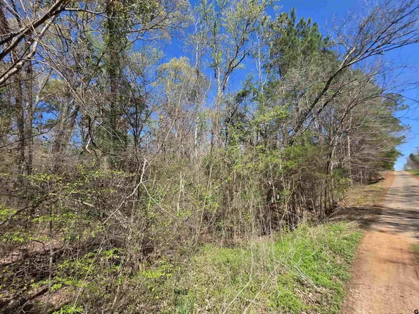 995 Balmorea Dr, Bullard, TX 75757