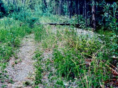 Nhn Parks Hwy, Koyuk, AK, 99753