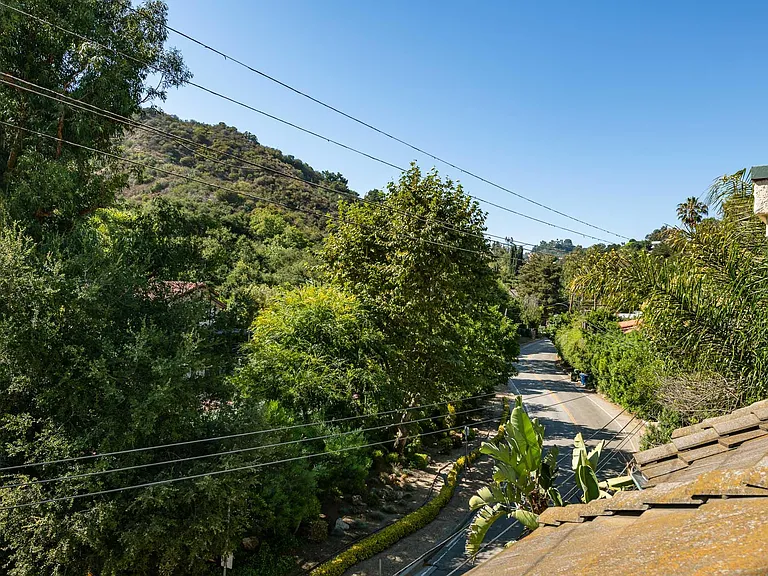 2334 Benedict Canyon Dr — Photo 45