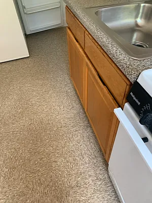 Rented by null | media 11