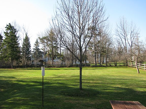 Back yard