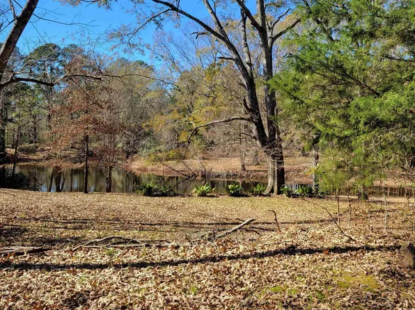 10678 Lindsey Ln, Saint Francisville, LA 70775