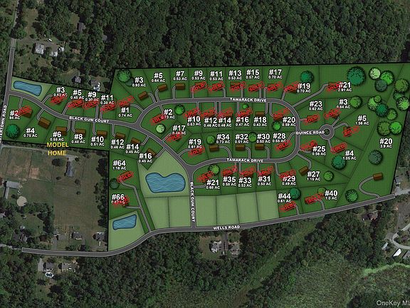 4th image of 20 Wells Road