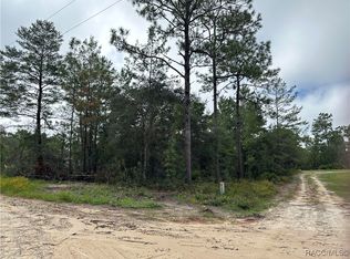 6610 W Mable Ln, Dunnellon, FL 34433