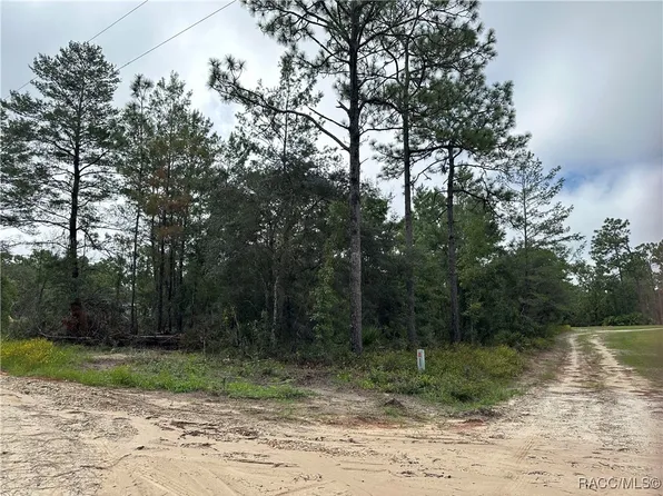 6610 W Mable Ln, Dunnellon, FL 34433