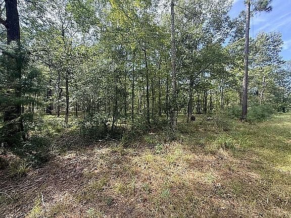 3rd image of Kings Point Dr