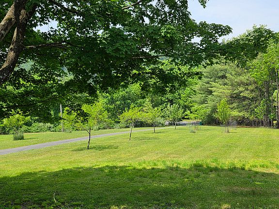 3rd image of 113 Tyler Dr